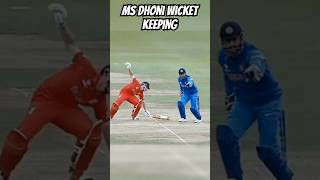 MS DHONI WICKET KEEPING  shorts cricket viralvideo [upl. by Madden]