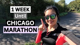 ONLY ONE WEEK Until Chicago Marathon  Fuel Gear Injury Update  World Marathon Major WMM [upl. by Esinyt662]