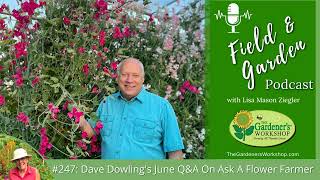 247 Dave Dowlings June QampA on Ask A Flower Farmer [upl. by Odlanyer]