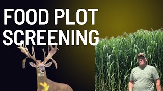 I Think I Found My Solution to Food Plot Screening [upl. by Yennor]