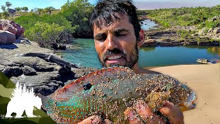 Surviving the Outback 1 Man 30 Days amp 100 Year Old Gear  Survival Documentary [upl. by Abdel]