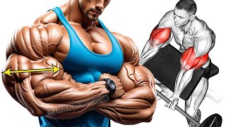 Biceps and Triceps Workout For Bigger Arms [upl. by Dnilasor]