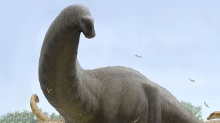 The Evolution of Sauropods [upl. by Bernadette]