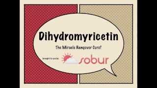 Dihydromyricetin DHM The Miracle Hangover Cure [upl. by Bronny426]