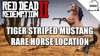 Rare Tiger Striped Mustang Location Red Dead Redemption 2 Horse Guide [upl. by Gilmer]