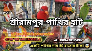 SHRIRAMPUR PET MARKET BIRDS PRICES UPDATE 20th OCTOBER PART 1 প্রথমবার MILI ROSELLA cheapestprice [upl. by Yehudi]