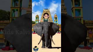 Yanai varuthu  யானை வருது  குழந்தைகளின் ஆட்டம் யானையோடு shortsvideo tamilrhymes [upl. by Jochebed]