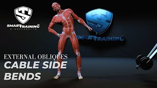 External Obliques Cable Side Bends  BRIG20 Video Sample DougBrignole SmartTraining365 [upl. by Horner596]