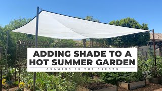 How we ADDED SHADE to our HOT SUMMER GARDEN Growing in the Garden [upl. by Hildegard831]