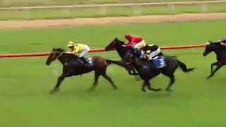 Mareeba 20240407 Race 4 [upl. by Aiouqahs423]