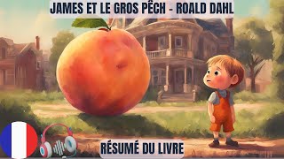 James et le gros Pêch  Roald Dahl résumé du livre [upl. by Janaya]