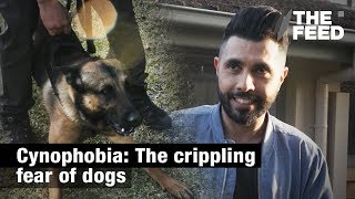 Cynophobia The crippling fear of dogs [upl. by Dorotea617]