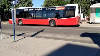 Autobus Linie 30A Großjedlersdorf Jochbergengasse in Wien [upl. by Ocnarf]