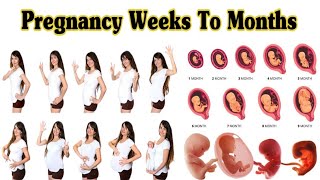 Pregnancy Weeks To Months  1 To 9 Weeks Fetal Developments [upl. by Nivled]