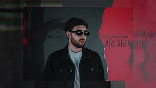 Vahag Atabekyan  Ari Ari  Official Audio [upl. by Okimat434]