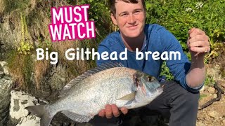 GILTHEAD BREAM MISSIONFISHING GUIDES DEVON SERIESKINGSBRIDGE ESTUARYPAUL BASSMAN [upl. by Resarf693]