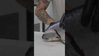 Fish Cutting Skills [upl. by Idid]