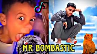 Best of Mr Bombastic Bomba Fantastic Meme  TikTok Compilation ❤️😂 [upl. by Dewayne]