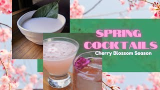 Lets Learn how to mix Japanese cocktail  Japanese Food Ambassador [upl. by Yrot716]