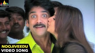 Nenunnanu Songs  Noojiveedu Kellina Video Song  Nagarjuna Aarti Shriya  Sri Balaji Video [upl. by Eyllom]