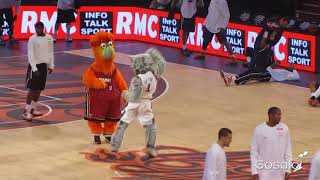 Basketball Mascot dancing Salsa [upl. by Erhard321]