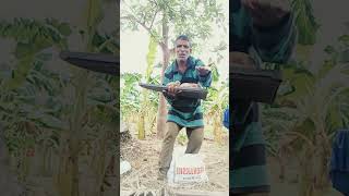 Poda poda sollikoduthuvittale shortsfeed Comedy trend vlog youtubechannel [upl. by Aytnahs]