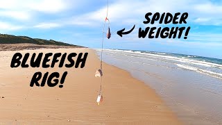 Surf Fishing Florida We Finally Caught a BIG BLUEFISH on CUT BAIT at New Smyrna Beach [upl. by Asenad]