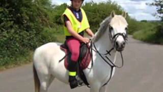 Riding Schools  Normanby Park Riding School [upl. by Roede571]