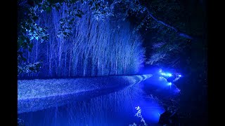 Winter Lights at Anglesey Abbey [upl. by Salahi]