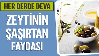 Her derde deva Zeytinin şaşırtan faydası [upl. by Rhonda750]