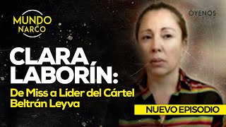 Clara Laborín De Miss a Líder del Cártel Beltrán Leyva [upl. by Haroun102]