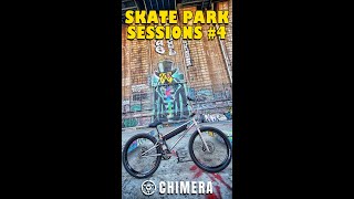 Skate Park Sessions 4 VERTICAL [upl. by Ninehc]