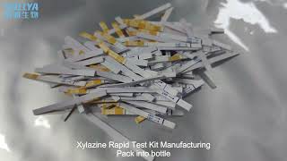 Xylazine Rapid Test Kit Manufacturing Lateral Flow Test Strip Manufacturing Xylazin Test KitBALLYA [upl. by Dhaf894]