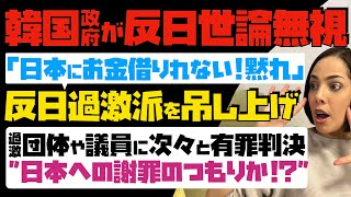 【韓国政府が反日世論無視】「日本にお金借りれない！黙れ」反日過激派を吊し上げへ…過激な団体や議員に次々と有罪判決。日本への謝罪のつもりか！？ [upl. by Dyun]