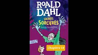 14 Sacrées Sorcières de Roald Dahl chapitre 14 livre audio [upl. by Mikeb]