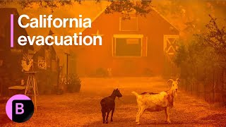 Wildfire in California Forces Evacuation Newsom Declares Emergency [upl. by Aiuqal]