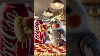 I seriously need that pizza 🍕😳🦜 funny parrot cockatiel [upl. by Atled]