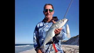 Lure fishing at Lancelin beach [upl. by Aicnom]