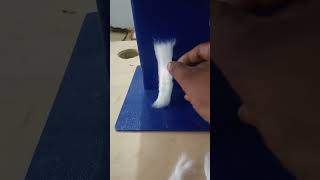 fully automatic cotton wicks machineround cotton wick making machinediya batti making machinewick [upl. by Ariahs898]