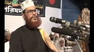 Bangla Jahannamer Voyabahota by Allama Delwar Hussain Sayeedi [upl. by Boutis]