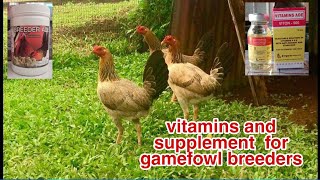 Best vitamins and supplement for gamefowl breeders Tamang bitamina para sa mga inahing manok [upl. by Oilenroc402]