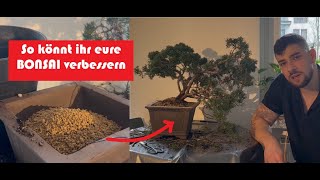 Arbeiten an einem fortgeschrittenen BONSAI Umtopfen und Pflegemaßnahmen von einem WacholderBonsai [upl. by Ahsaeit]