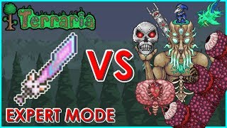 Terraria  Meowmere vs All Bosses Expert Mode [upl. by Nolita124]