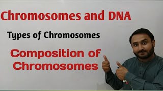 Chromosomes and DNA  Types of Chromosomes  Composition of Chromosomes  Class 12 Biology [upl. by Oecam]