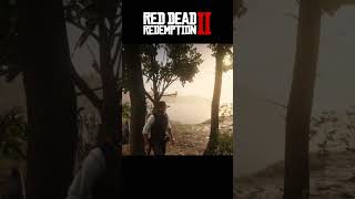 Braithwaite Secret reddeadredemtion2 rdr2 reddeadredemtion arthurmorgan gaming western [upl. by Aigroeg377]