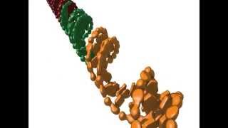 Nonhomologous end joining [upl. by Ahsetal]