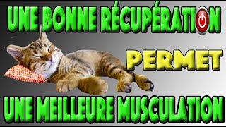 RECUPERATION MUSCULAIRE APRES UNE SEANCE DE MUSCULATION BODY REBOOT [upl. by Janka996]