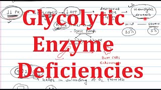 6 Glycolytic Enzyme Deficiency  PK deficiency  Glucokinase deficiency  Aldolase  PFK1 [upl. by Ahsrat]