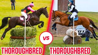 THOROUGHBREDS GO EVENTING  ZEBEDEE VS TINY  VLOG 164 [upl. by Kcered]