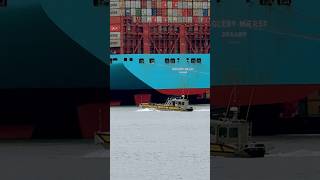 maersk container ship harbor göteborg sweden transport sea cargo [upl. by Yztim]